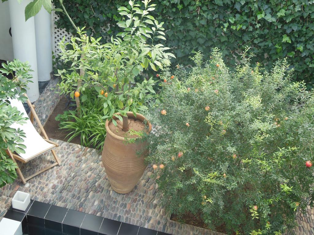 Riad Tchina Marrakesh Exteriör bild