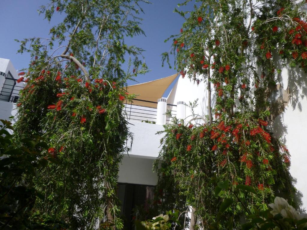 Riad Tchina Marrakesh Exteriör bild